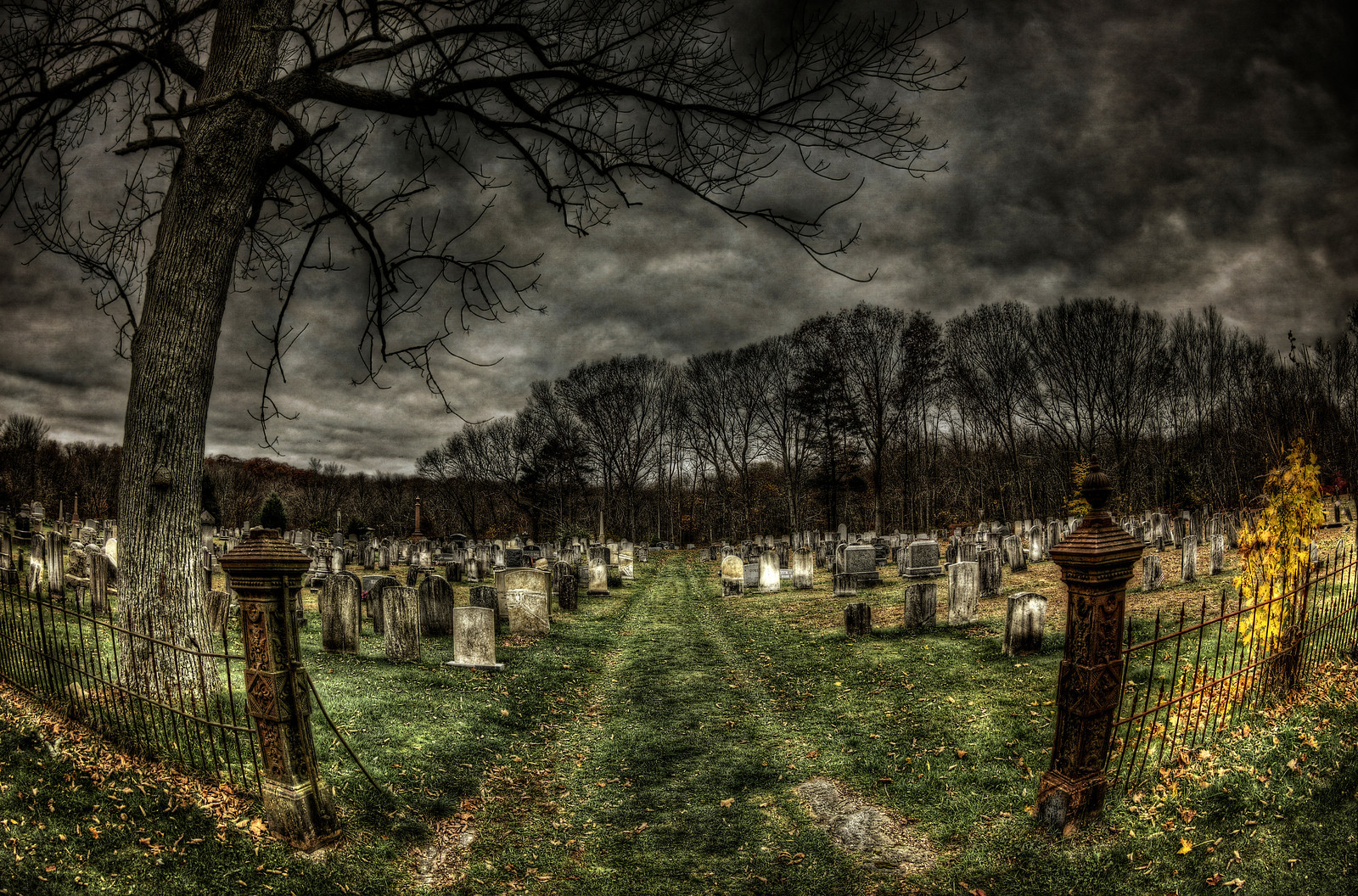 Union Cemetery by Frank Grace