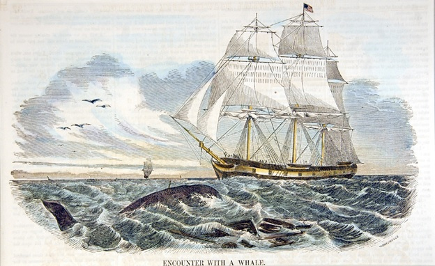 Whaling Ship