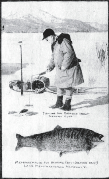 Ralph Sessions's 1927 postcard of the Beaver Trout on Lake Memphremagog.
