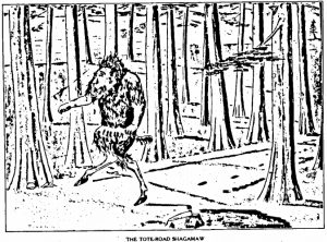 Fearsome Creatures of the Lumberwoods by William T. Cox