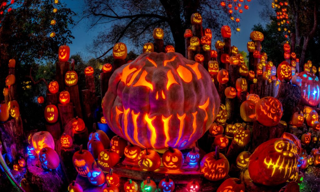 Jack-o-lanterns photo by Frank Grace