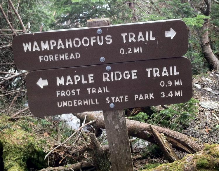 Wampahoofus Trail on Mount Mansfield in Vermont.