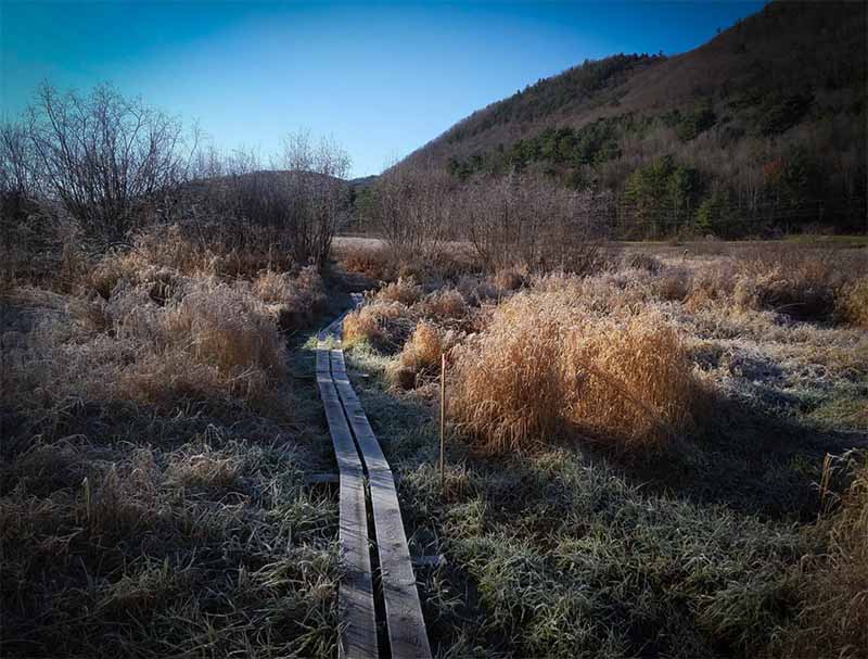 A trail through Whipple Hollow, Vermont.