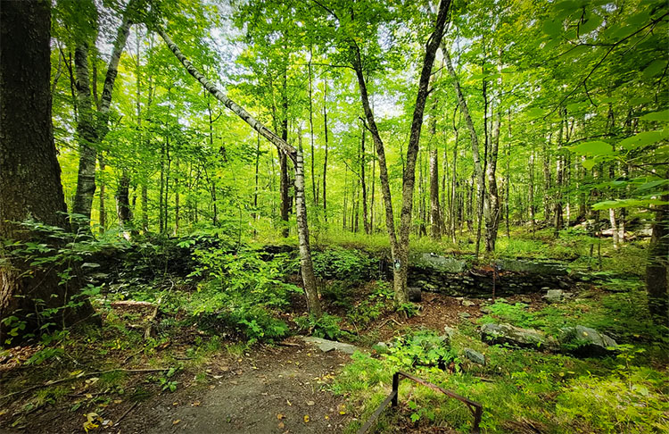 A stone wall in the Ricker Basin ghost town in Waterbury, Vermont.