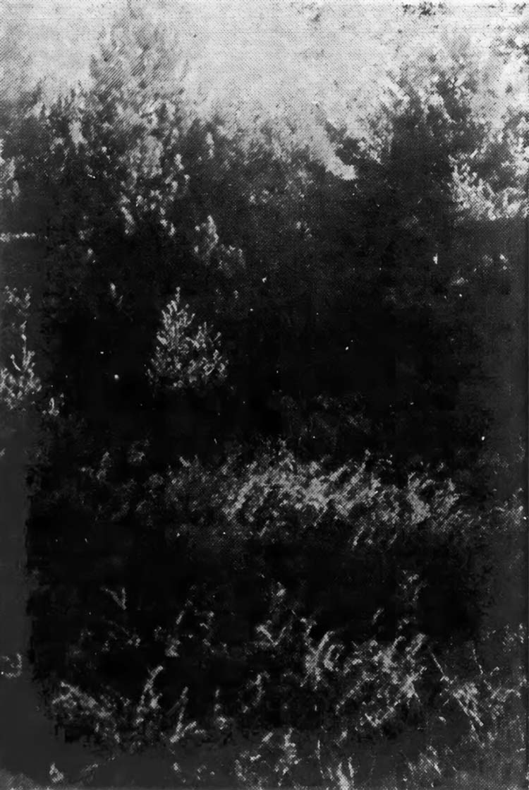 The Haunted Cellar Hole on Great Chebeague Island, Maine, circa 1939.