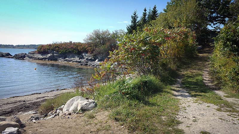 The coast of Great Chebeague Island, Maine, today.