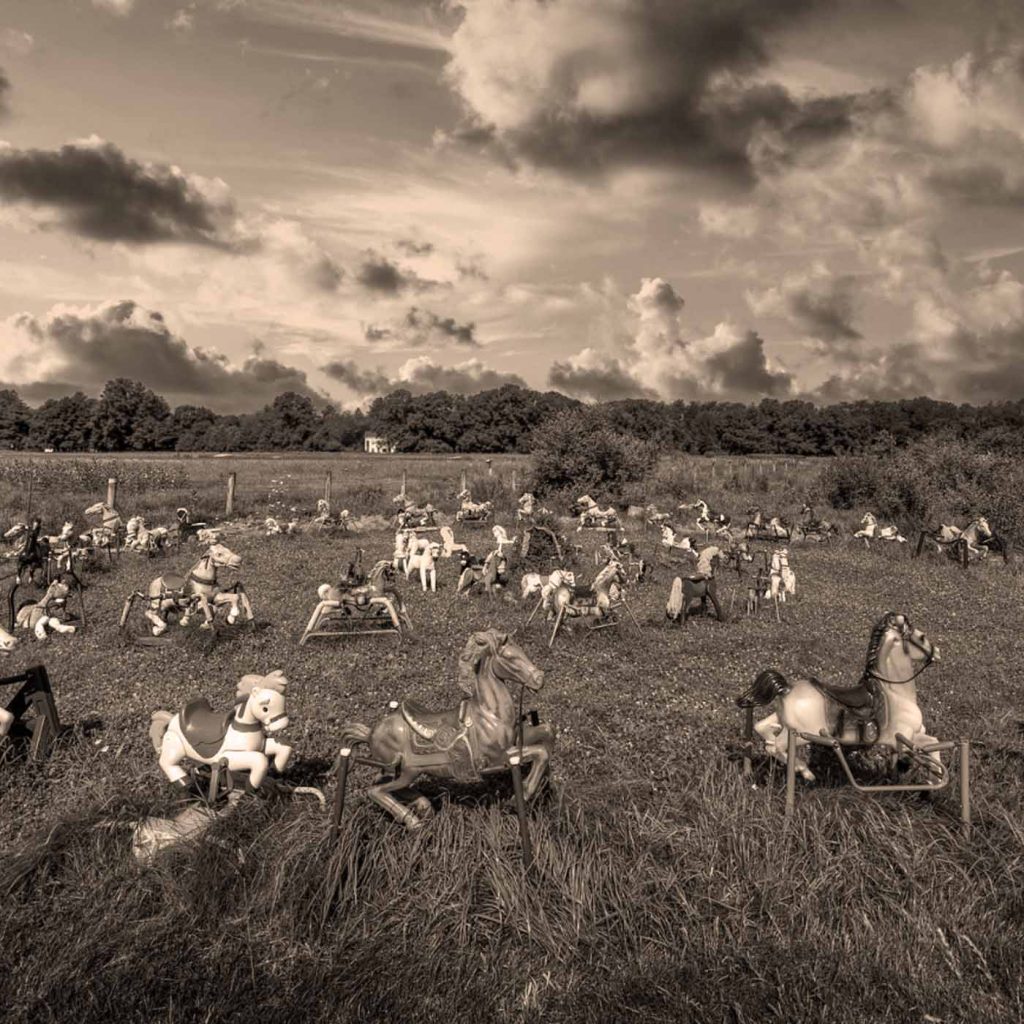 Ponyhenge in Lincoln, Massachusetts. Photo by Frankl Grace