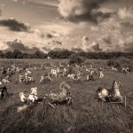 Ponyhenge in Lincoln, Massachusetts. Photo by Frankl Grace
