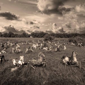 Ponyhenge in Lincoln, Massachusetts. Photo by Frankl Grace