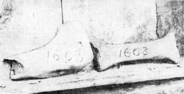 The 1603 bones discovered in a box by local farmer Robert Hurst in 1936.