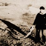 The Giant Sea Serpent of Provincetown, Massachusetts