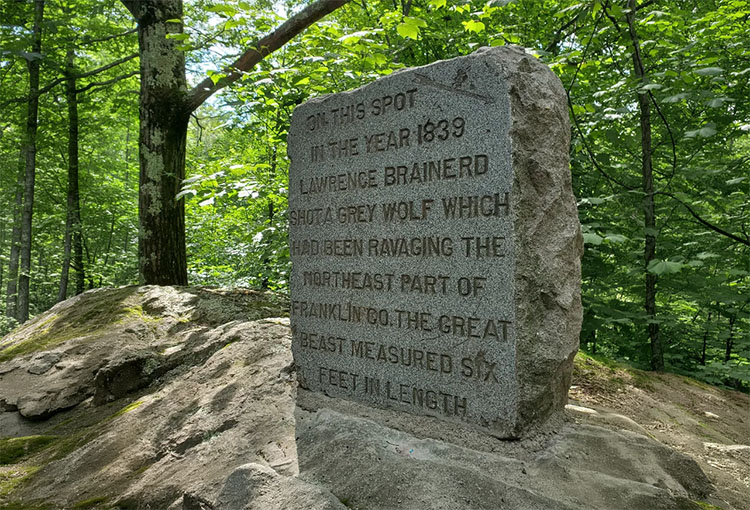 The marker on Aldi's Hill in St. Albans, Vermont, where Lawrence Brainerd shot and killed a large wolf that had been terrorizing the region.