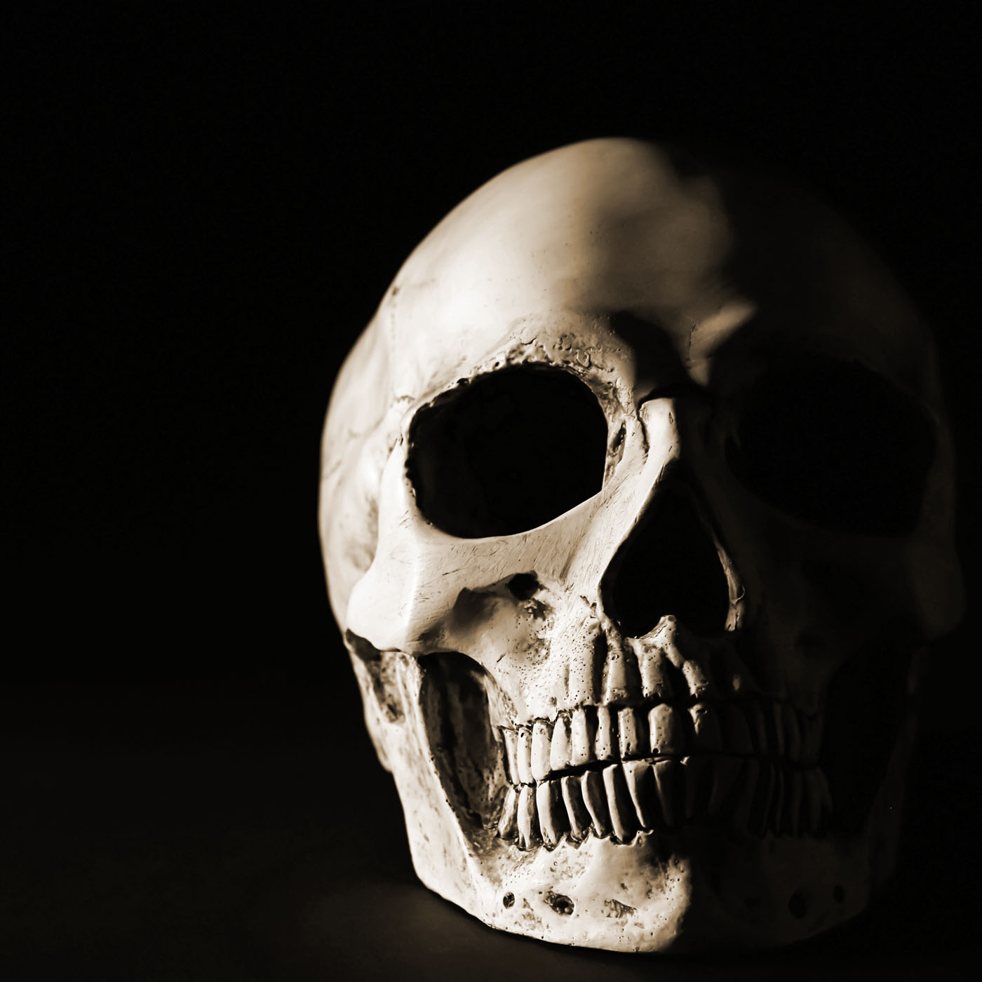 Podcast 460 – The Skeletons Who Guarded a Treasure