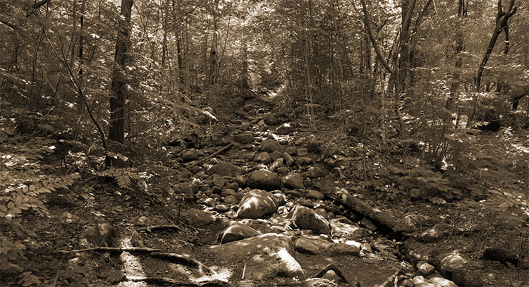 A trail leading up the hill in Fair Haven, Vermont.